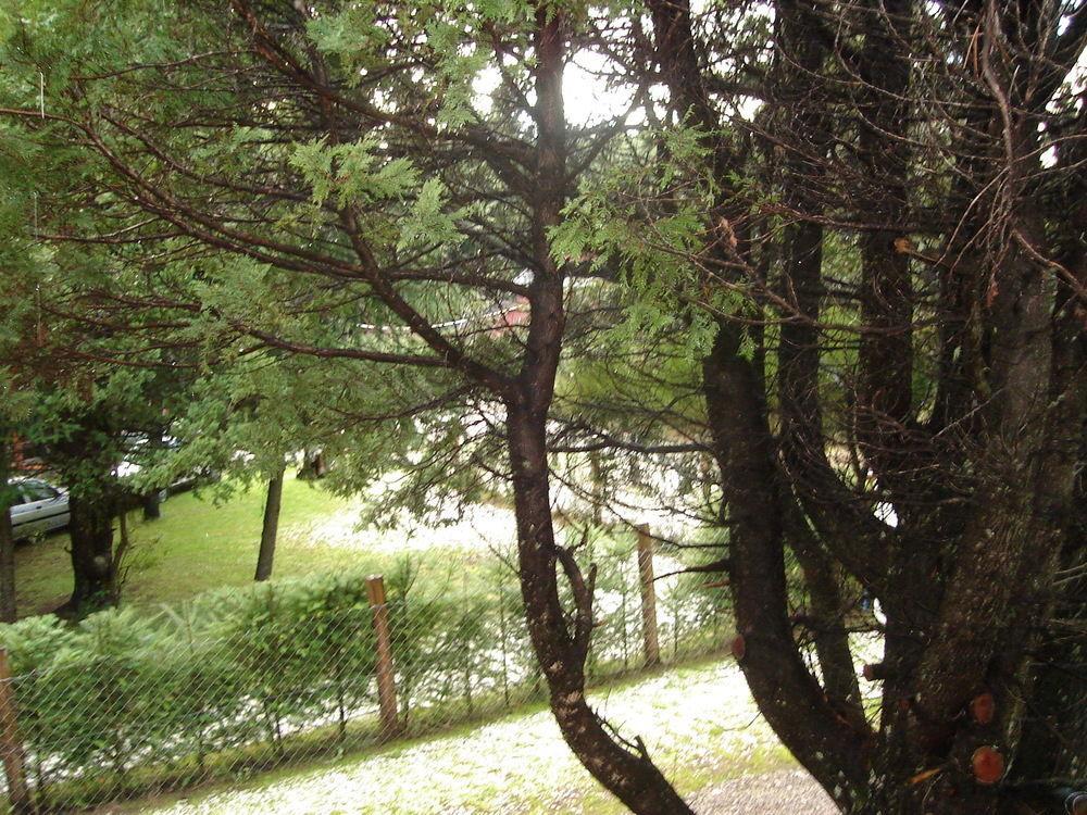 Tinsel'S House Villa San Carlos de Bariloche Eksteriør billede
